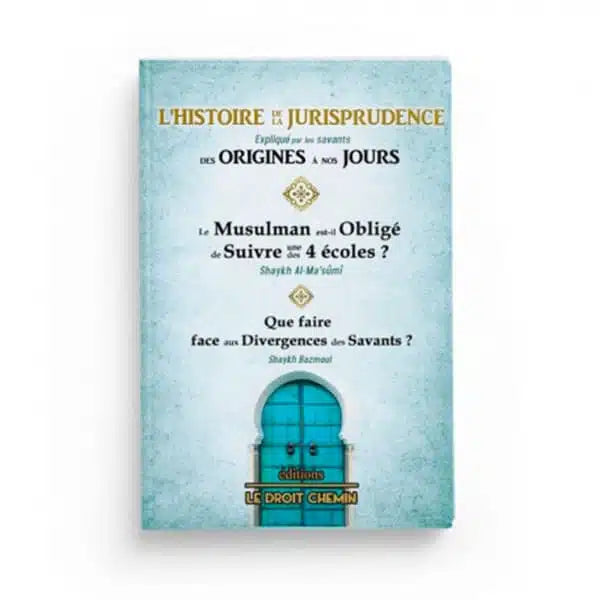 L'histoire de la jurisprudence expliqué par les savants des origines à nos jours - éditions Le Droit Chemin