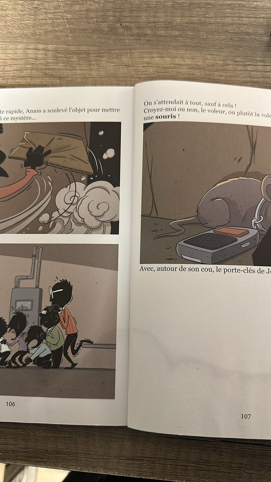 La Famille Foulane (Tome 7) : Le Voleur