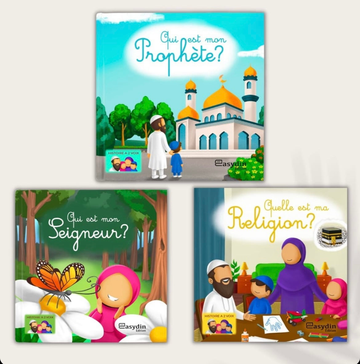 Pack Livres : Les 3 questions - édition easydin