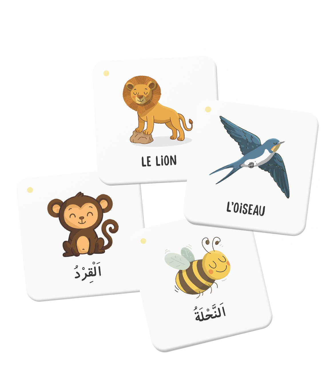 Mémo des animaux du Coran - DEENILEARN