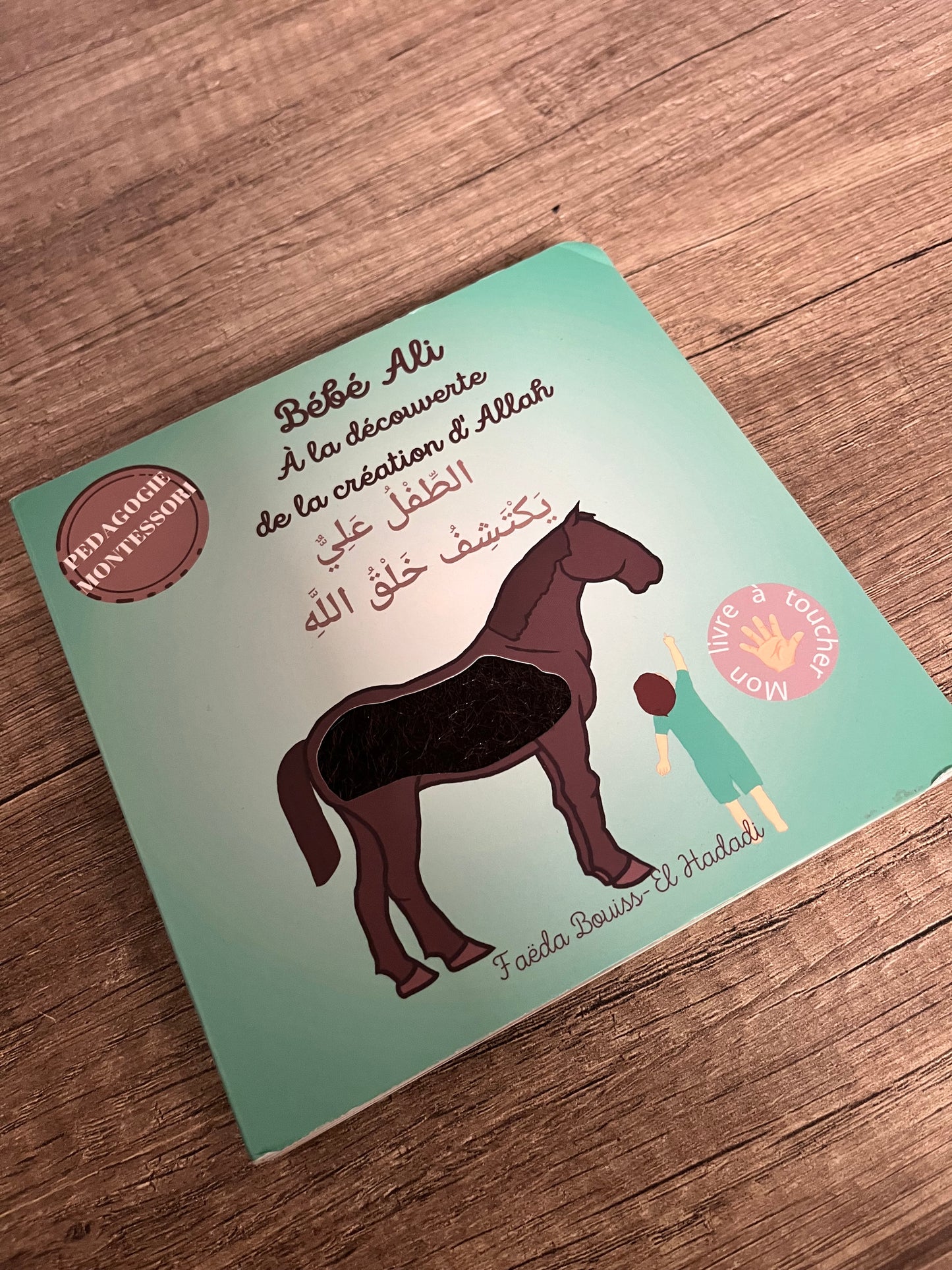Tome 8 : Bébé Ali à la découverte de la création d'allah (Livre à toucher) - Avec défaut