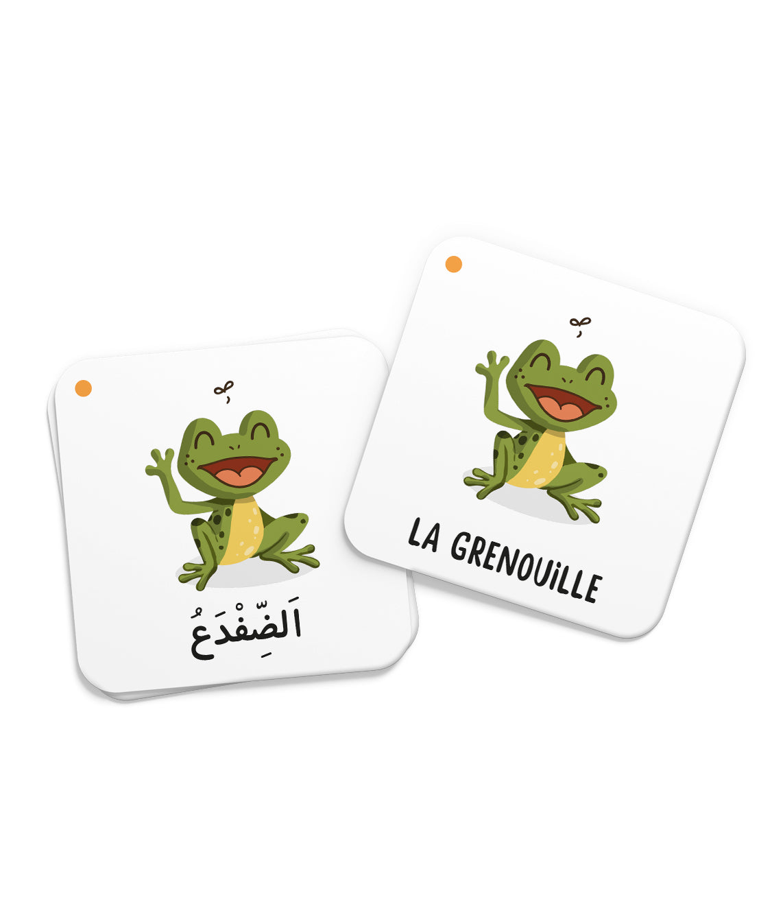 Mémo des animaux du Coran - DEENILEARN