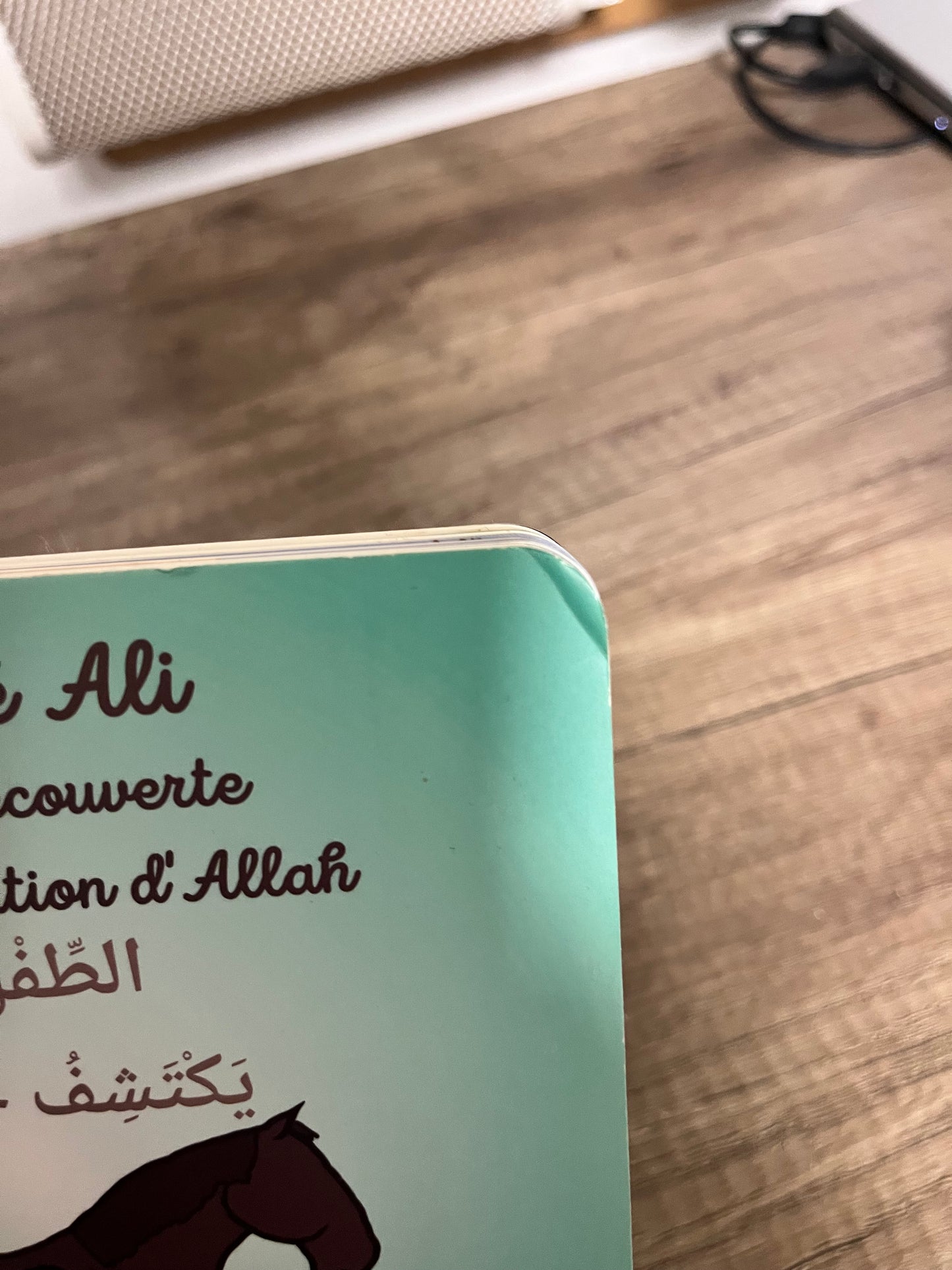 Tome 8 : Bébé Ali à la découverte de la création d'allah (Livre à toucher) - Avec défaut