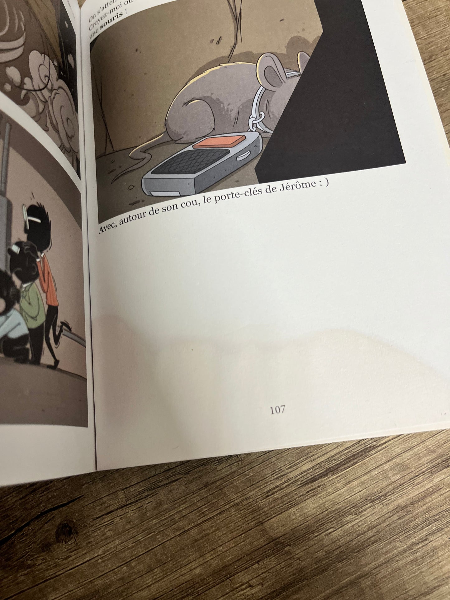 La Famille Foulane (Tome 7) : Le Voleur - Avec défaut